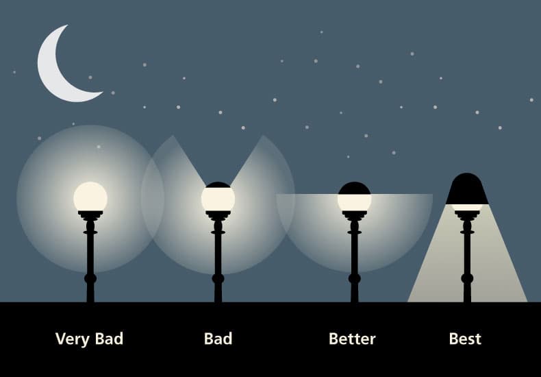 Light Pollution & Wildlife: What Happens After Dark