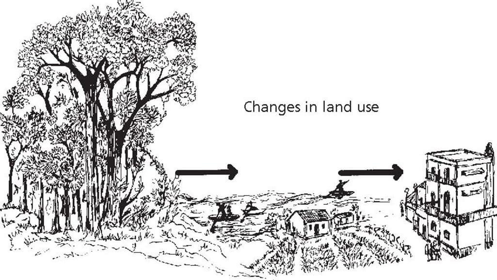 Human Wildlife Conflict The Predictable Cost of Progress and Shrinking