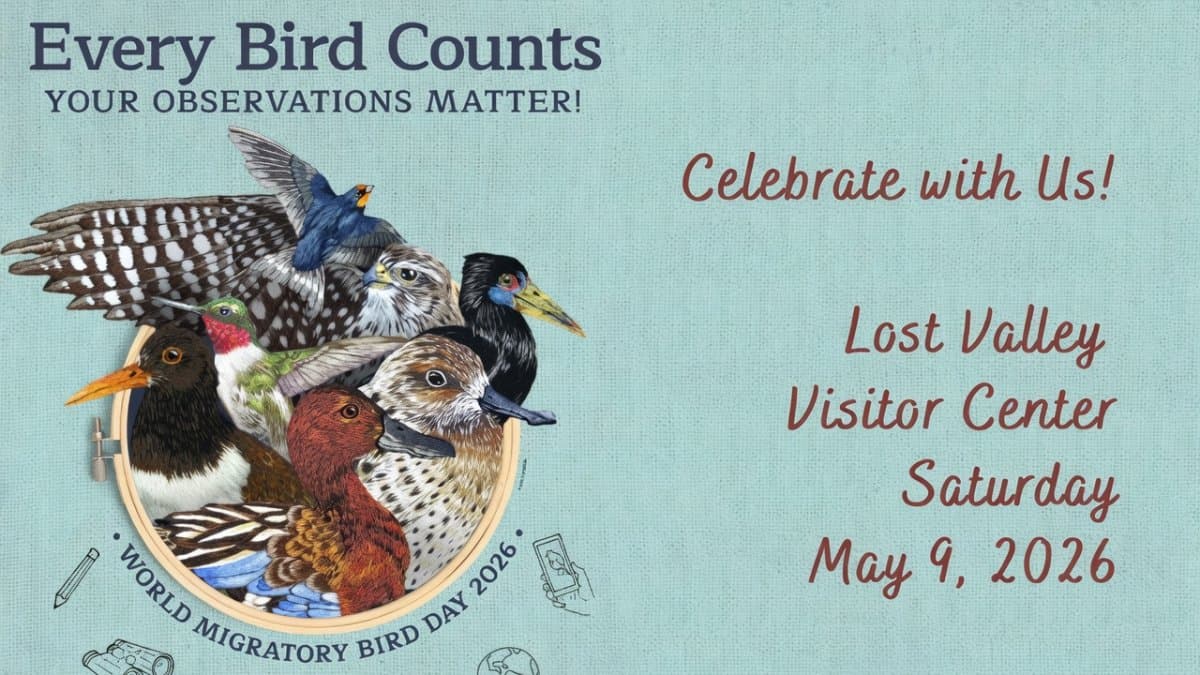 World Migratory Birds Day 2026